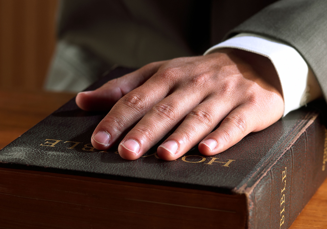 expert witness